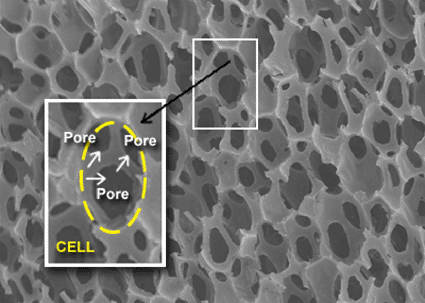 Image:  A 23x Magnified View of Biomerix Biomaterial (Photo courtesy Biomerix).